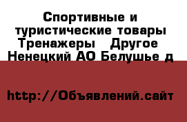 Спортивные и туристические товары Тренажеры - Другое. Ненецкий АО,Белушье д.
